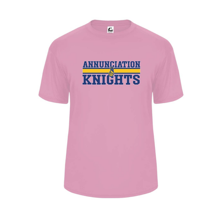 Annunciation School Spirit Performance Short Sleeve T-shirt w/ Knights Logo 