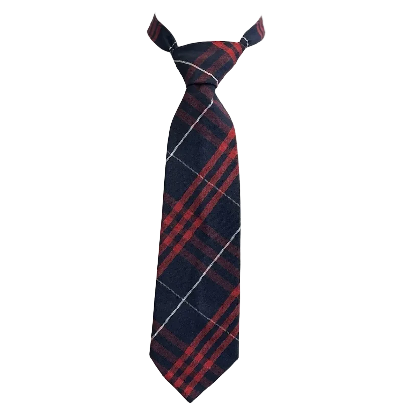 Plaid Breakaway Tie