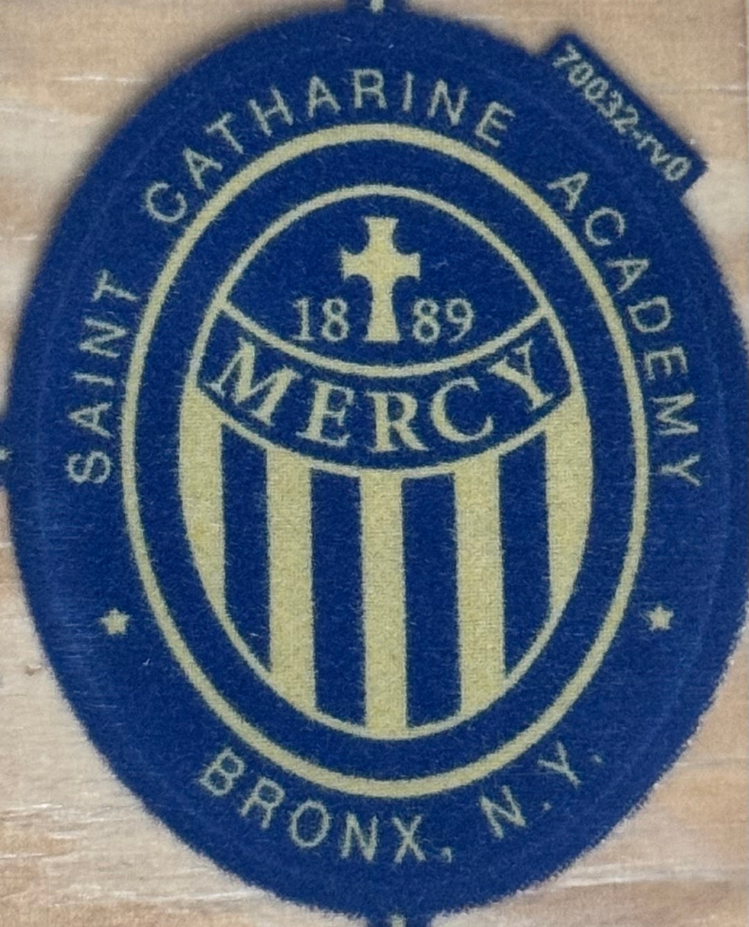 ST. CATHERINE ACADEMY SCHOOL- SCHOOL TRANSFER-