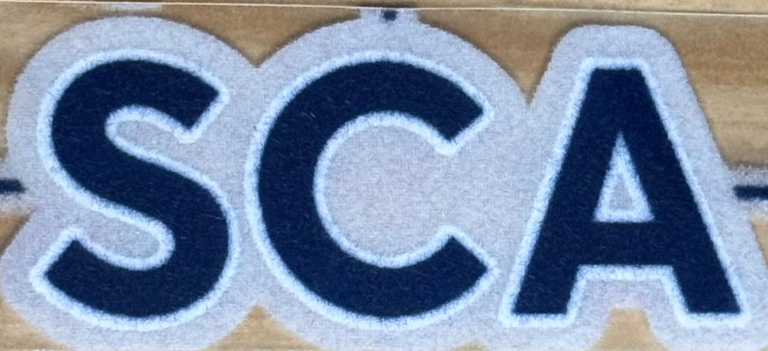 ST. CATHERINE ACADEMY SCHOOL- SCHOOL TRANSFER-