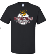 St. Barnabas Elementary School Team Short Sleeve T-Shirt w/ Volleyball Logo 