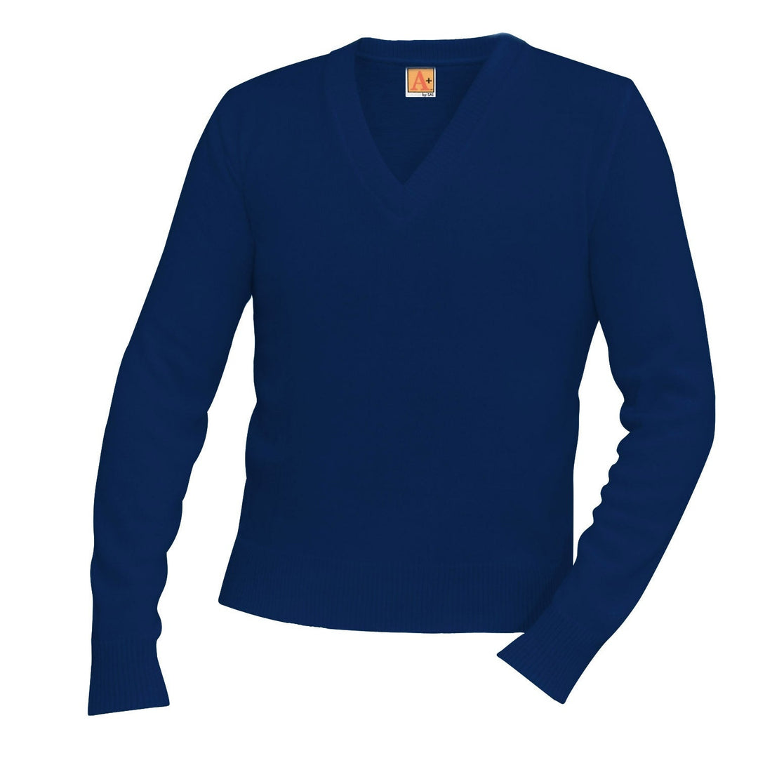Navy V-Neck